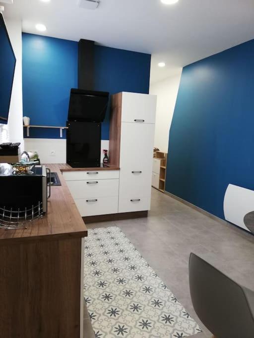Appartement Bel Coeur De Tout Equipe Grenoble