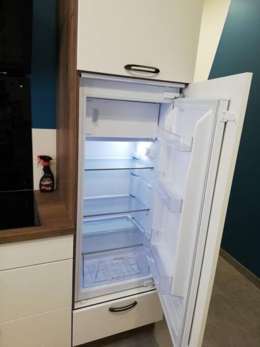 Bel Coeur De Tout Equipe Appartement Grenoble