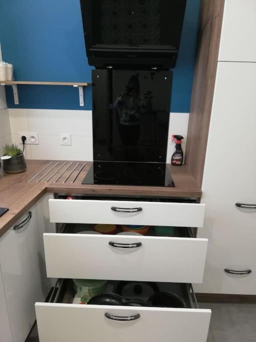 Bel Coeur De Tout Equipe Appartement